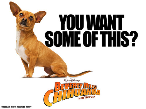  George Lopez in Beverly Hills chihuahua