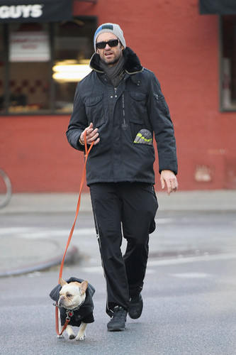  Hugh Jackman and Ava Out Walking the Dog