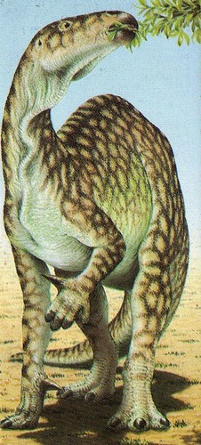  Iguanodon