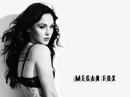  Megan vos, fox