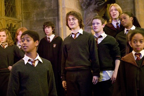  Neville and Gryffindors