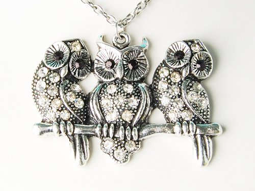  Owl Trio