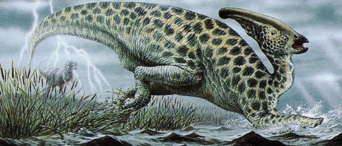  Parasaurolophus
