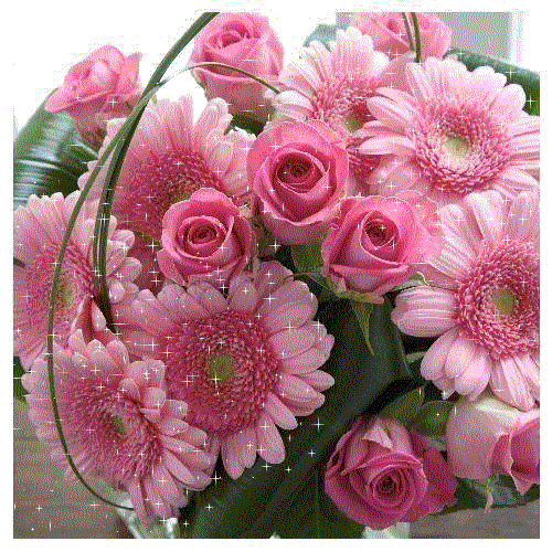Pink Beauty for Princess