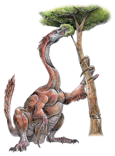  Therizinosaurus cheloniformis