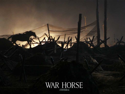  War Horse