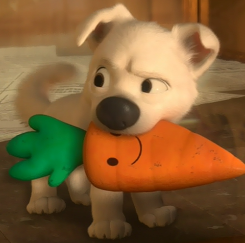  Bolt and Mr. Carrot!