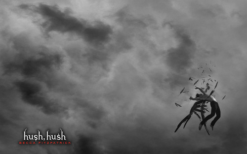  Hush Hush Series wallpaper