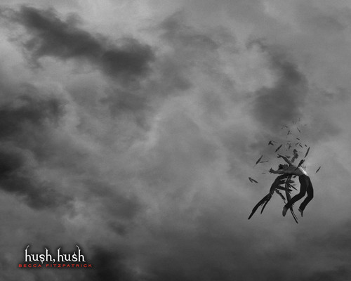  Hush Hush Series fonds d’écran