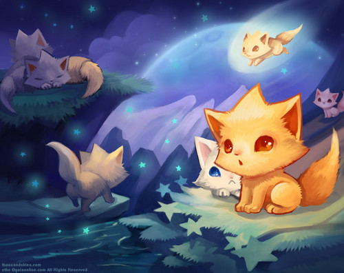  Kitten star, sterne Land~♥
