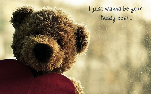  Teddy ours