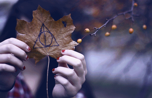  The Deathly Hallows Sign