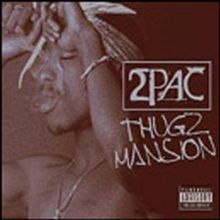  Thugz Mansion