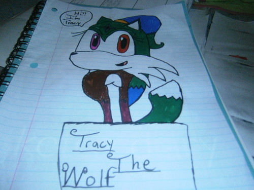 Tracy the wolf