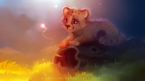  Baby Cheetah