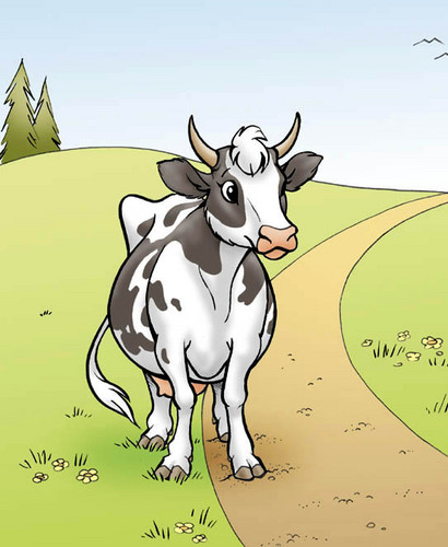  Cow
