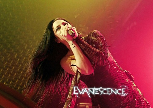  Evanescence 2012
