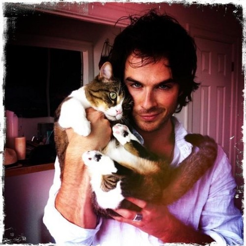  Ian and his cat