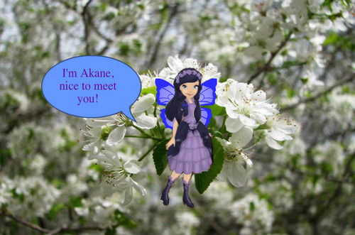  Ranma character: Long-haired Akane (Pixie Hollow version)