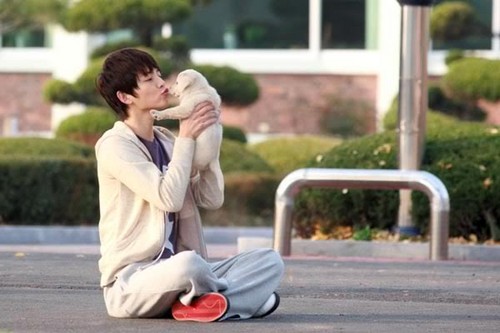  Song Joong-ki and dog in the sequel to hati, tengah-tengah Is