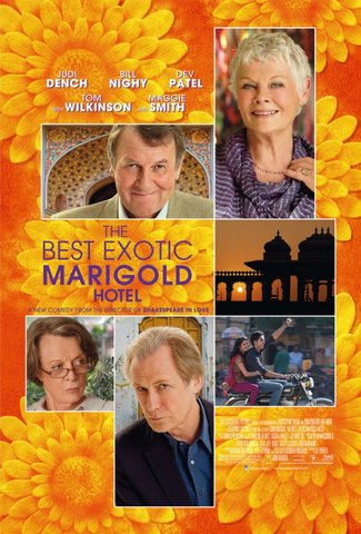  The Best Exotic malmequer, marigold, calêndula Hotel