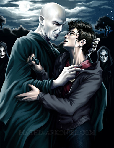  Voldemort - Harry