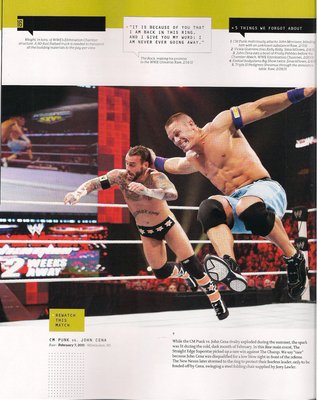  2011 mwaka in pictures-CM PUNK