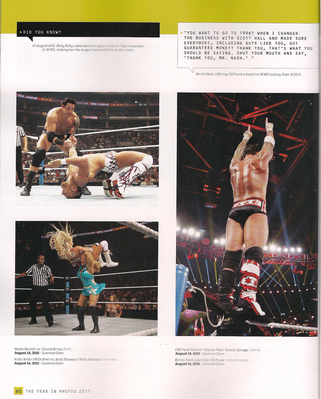  2011 an in pictures-CM PUNK