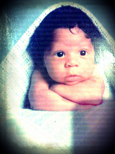Baby Roc Royal