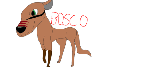  Bosco