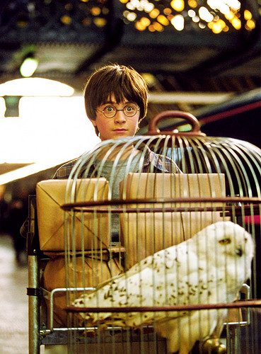  Harry James Potter
