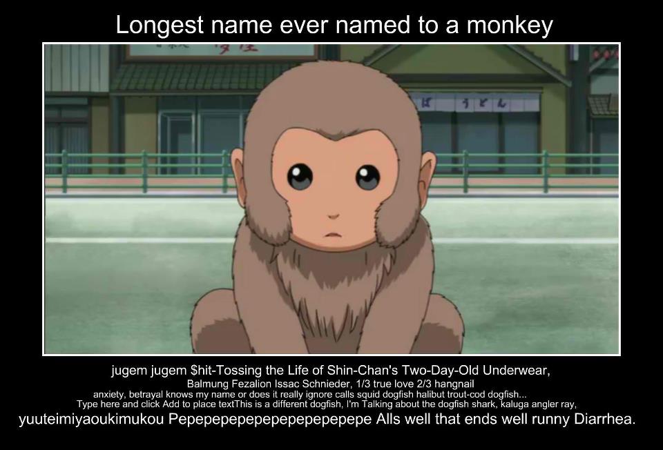 Longest monkey name - Gintama Photo (28534676) - Fanpop