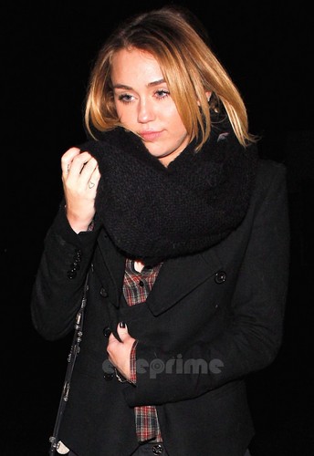  Miley Cyrus checks out the LA observatoire