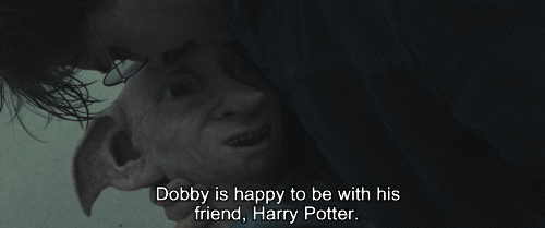  R.I.P Dobby