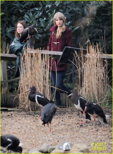  Taylor Swift: Лондон Zoo Visit!