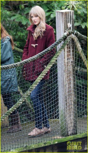  Taylor Swift: Luân Đôn Zoo Visit!