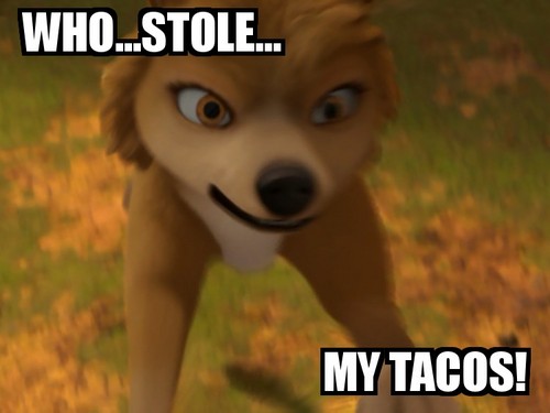  Who lấy trộm, đánh cắp her Tacos