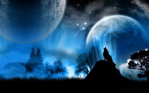  serigala, wolf HD