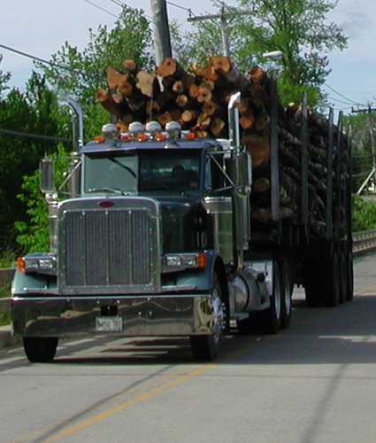  logging trucks