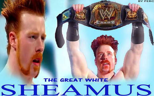  the great white sheamus