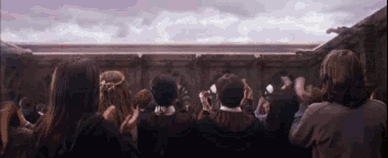  Harry Potter and the Order Of The Phoenix