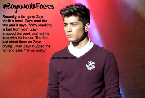 1D FACTS - One Direction Photo (30484619) - Fanpop