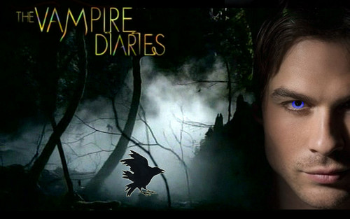  Damon - The Vampire Diaries