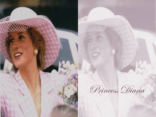  Lady Di achtergrond
