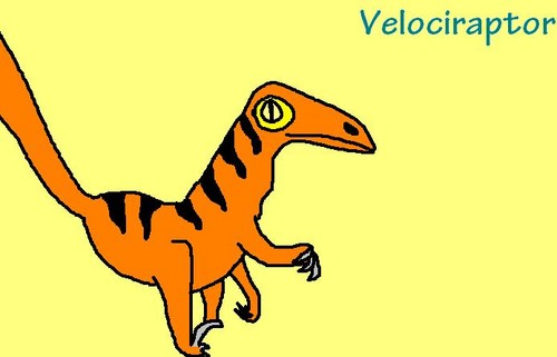  My Dinosaur Drawings- Velociraptor