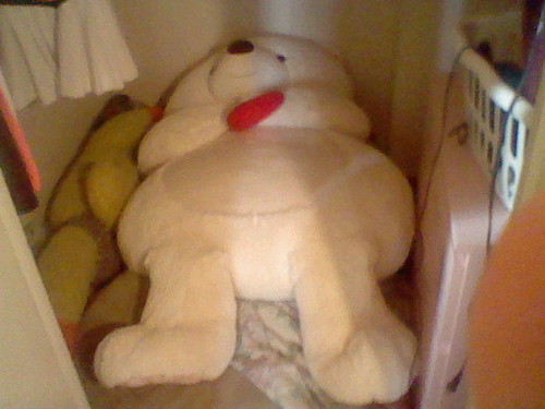  My giant teddy