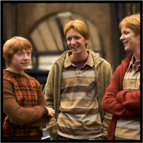  Ron, Fred and George