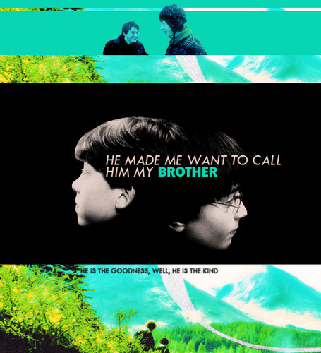  Ron and Harry