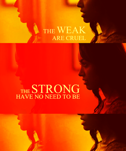  The Weak and Strong