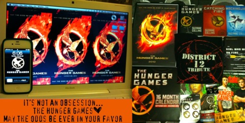  Amazing Hunger Games ファン Arts!